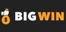 Bigwin Casino Logo